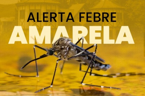 Registros de febre amarela têm alta em quatro estados