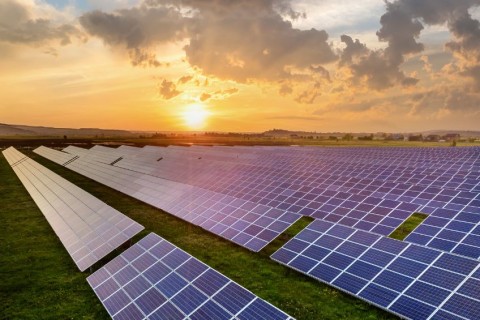 PITANGUEIRAS PODE TER USINA SOLAR PARA GERAÇÃO DE ENERGIA RENOVÁVEL?