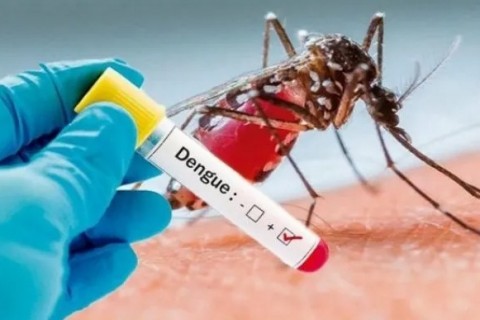 Minas Gerais confirma mais duas mortes por dengue em 2025